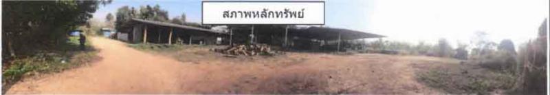 ไม่ปรากฎเลขที่  หนองหล่ม ห้างฉัตร ลำปาง