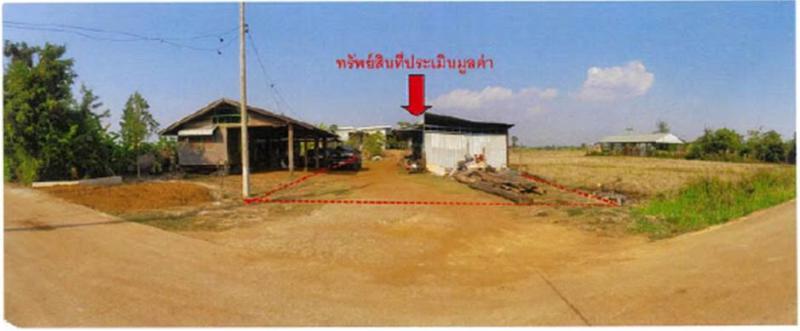 ชมพู เมืองลำปาง ลำปาง