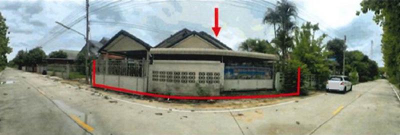 ต้นธงชัย เมืองลำปาง ลำปาง
