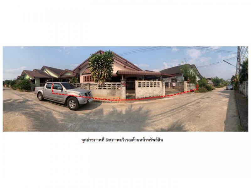 ต้นธงชัย เมืองลำปาง ลำปาง