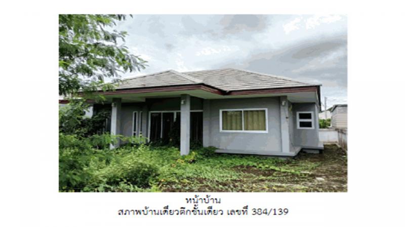 ชมพู เมืองลำปาง ลำปาง