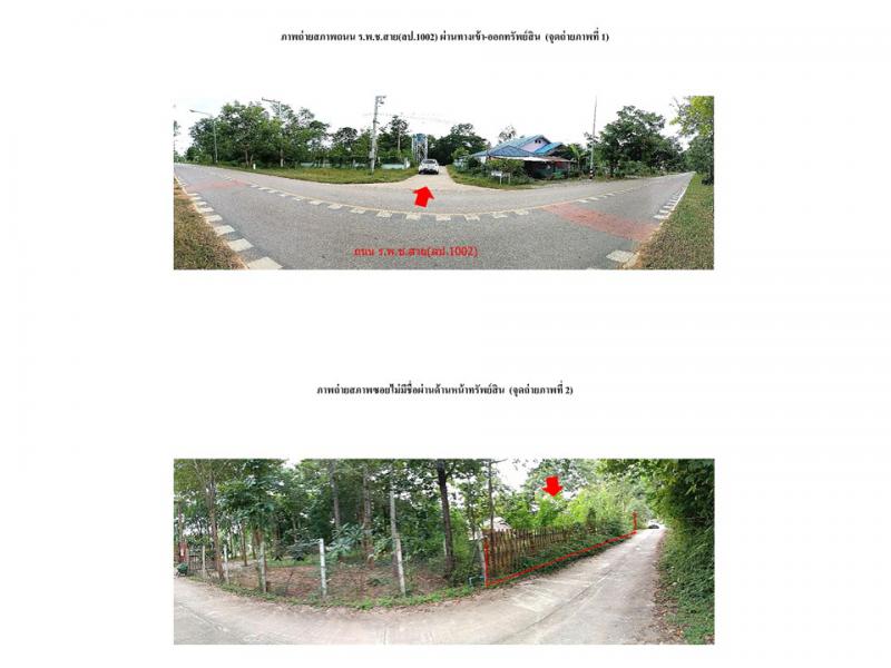 นาแส่ง เกาะคา ลำปาง