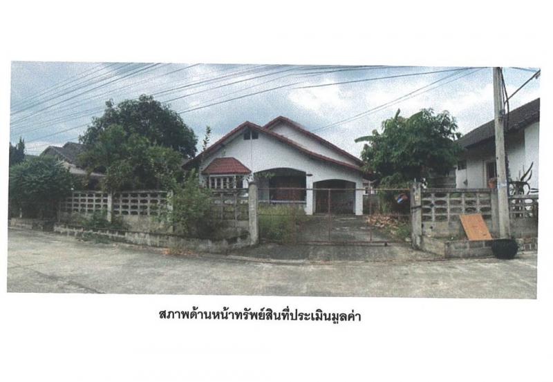 ต้นธงชัย เมืองลำปาง ลำปาง