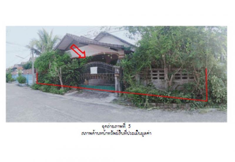 ต้นธงชัย เมืองลำปาง ลำปาง