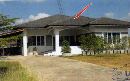 ต้นธงชัย เมืองลำปาง ลำปาง