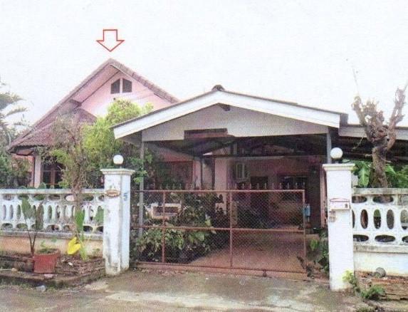 ต้นธงชัย เมืองลำปาง ลำปาง