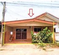 ต้นธงชัย เมืองลำปาง ลำปาง
