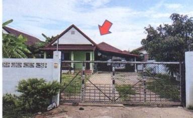 ต้นธงชัย เมืองลำปาง ลำปาง